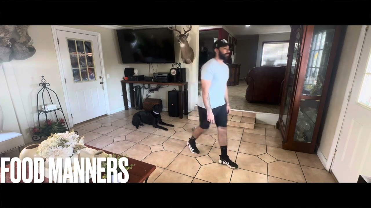 Belgian Malinois Dog Training | Stevie | Santa Monica, CA