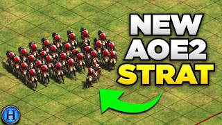 This Pro Player Invented a NEW AoE2 Strategy screenshot 1
