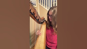 Random Bass Line Game 8oct25: 1 Note and it’s a B #harp #improvisation #randomnumbers #bassline