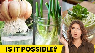 16 Best Herbs and Vegetables You Can Grow Indoors in Water #hydroponics