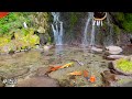 "Sacred Falls and the Koi"（神聖な滝と錦鯉）