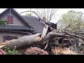 Dangerous Idiots Tree Felling With Chainsaw - Heavy Tree Removal Fails Falling On Houses