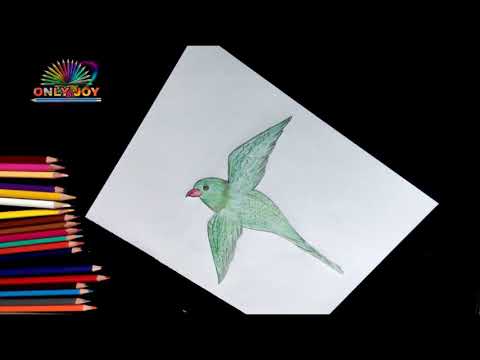 how-for-kids-|-how-to-draw-a-parrot-bird-drawing-for-kids