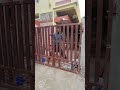 Fabrication #grillwork #Gate #home #karnataka