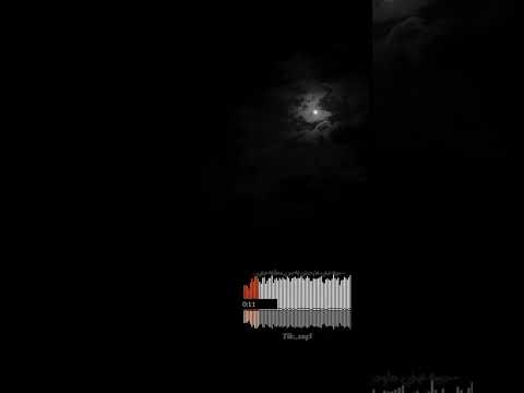 بكل عيوبك انا قابلك ده طبعي ومش هيتغير بدون موسيقى