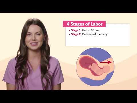 Short Stages Of Labor Video