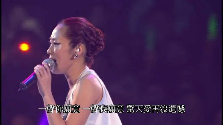 -  ( Live 06  )