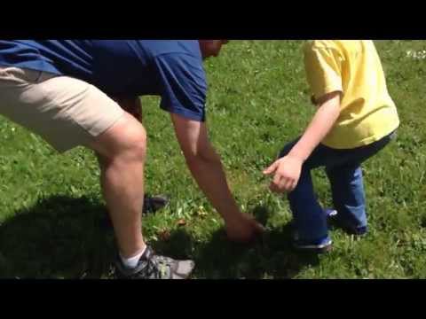 The Frog Race