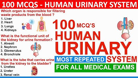 100 urinary system mcqs with answers | urinary system mcqs quiz | human urinary system mcq quiz