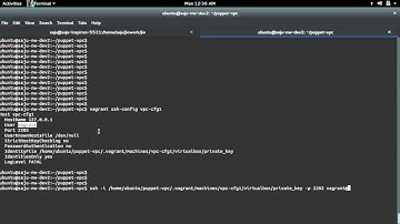 How to find Vagrant SSH port