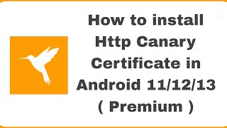 How To Install Http Canary Certificate On Android 11/12/13 screenshot 5