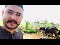 village life vlog pakistan bast lifestyle❤️😱#virlvideo #pakistan