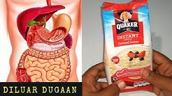 MAKAN OATMEAL SETIAP HARI, INILAH YANG TERJADI PADA TUBUH || SEHAT TUBE - Durasi: 5.56. 