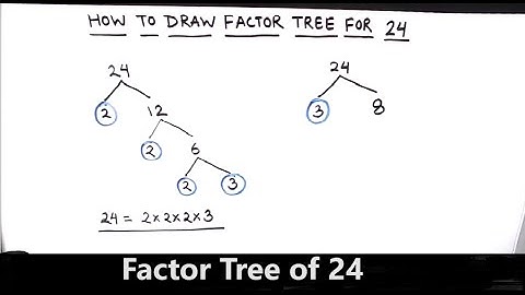 How to Draw Factor Tree of 24 / Factor Tree Method  of Prime  Factorization / Factors  of 24