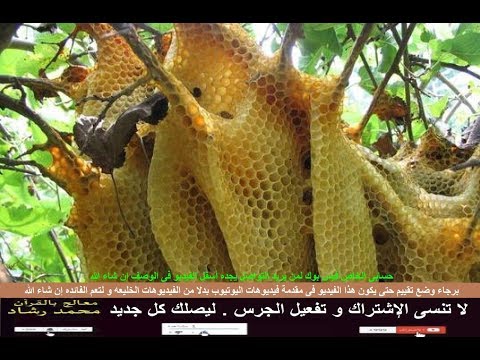 سلسلة جلسات قصاص العشق الجلسه رقم 1