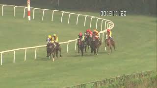 Son Of A Gun Wins The Sir Jamsetjee Jeejeebhoy vi Bart Trophy