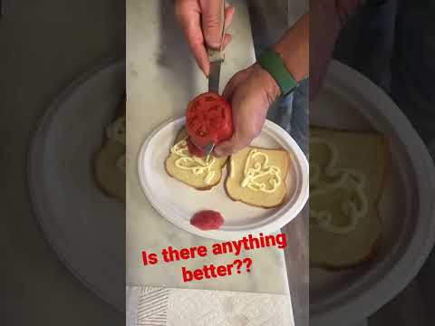 A Tomato Sandwich!