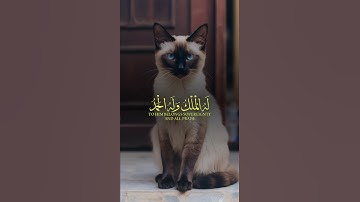 لا اله إلا الله وحده لا شريك له #foryou #اكسبلور #المصحف #اذكار_الصباح #الرحمن #dua #لايك #دعاء