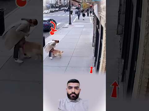 كلب أنقذ حياة بنبحه تحذير وسحبة نجاة 