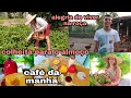 colhemos ovos verduras para o almoço | alegria de morar na roça | café da manhã| Pathy vida na roça