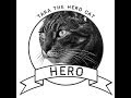 Meet tara  the hero cat saves boy from dog attack
