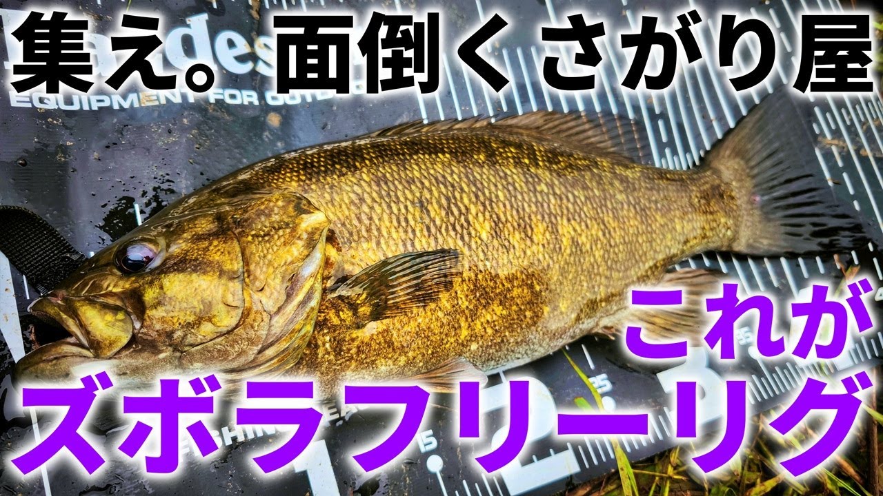 楽して釣りたいなら絶対試して欲しい！ズボラフリーリグ！【バス釣り】【おすすめ】