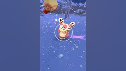 Catching Spinda #5 in Pokemon Go using 5 great curve ball throws in a row for Pokemon Go