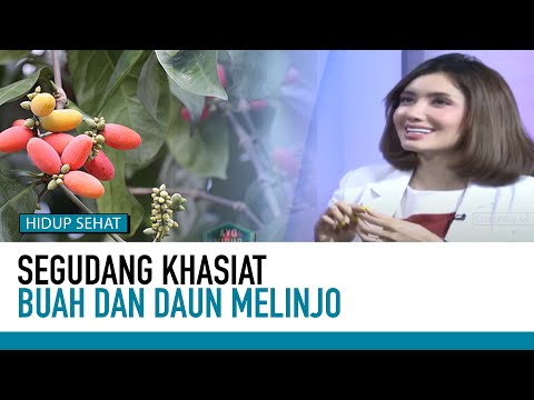 Sayur Buah Melinjo