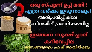 അരിയിലും ധാന്യങ്ങളിലും പ്രാണികൾ കേറാതിരിക്കാനുള്ള Tips | How to get Rid of Insects , bugs in Rice