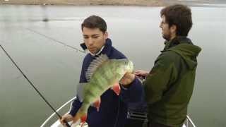 Spinnfischen Am Ebro-Stausee Mit Dem Joker Von Quantum