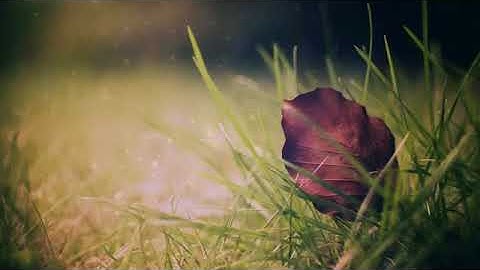 اروع تلاوة سمعتها للقارئ الذي فاجئ المصلين