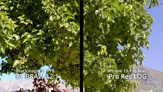 Blackmagic 6k Pro vs iPhone 15 Pro