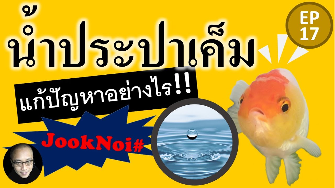 น้ำประปาเค็ม แก้ไขอย่างไร? เปลี่ยนถ่ายน้ำเลี้ยงปลา? EP17