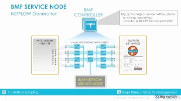 Netflow Generation with Big Monitoring Fabric
