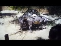 Zoo Zebra Mating