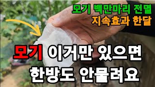 모기! 이거 한장이면 100만마리 소리없이 전멸! #모기퇴치제 # #지쎈하이진 #모기가좋아하는환경 #모기약 #모기못오게하는법 #모기유충퇴치 #진드기퇴치 #킬라바 #mosquito