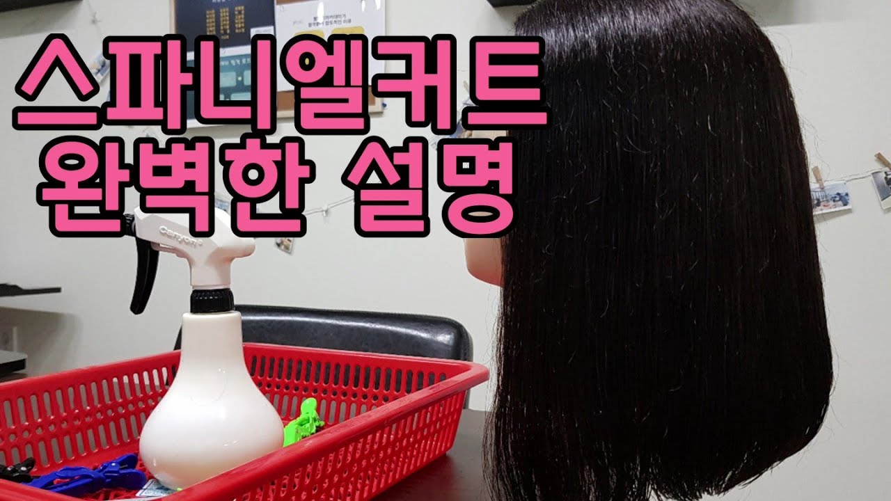 스파니엘커트 완벽한 설명 hairdresser YouTube