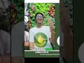 Pentingnya Boron untuk Kelapa Sawit #shorts