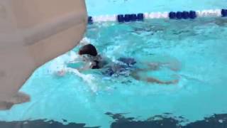 Theresas First Butterfly 25