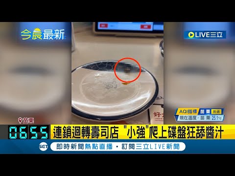 連鎖迴轉壽司店 "小強"爬上碟盤狂舔醬汁! 議員吃壽司驚見蟑螂爬盤子 業者歉:全面清消 衛生局實地稽查｜記者 王培驊 周冠宇｜【消費報你知】20240416｜三立新聞台