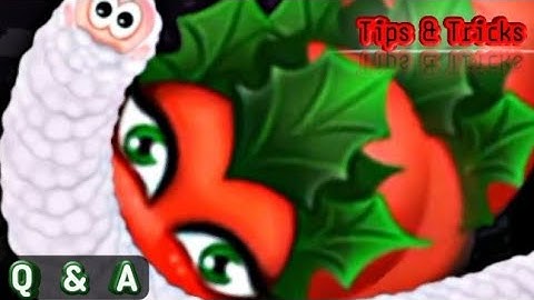 WormsZone.io New Tips & Tricks | Pro gaming Style Q&A Video