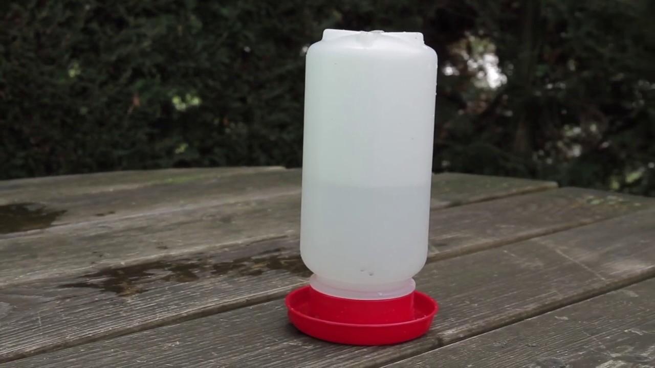 Abreuvoir siphoïde poussins 1 L pratique et hygiénique
