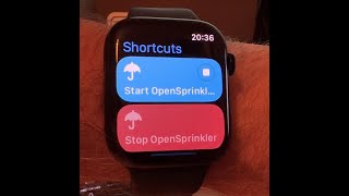 Control OpenSprinkler via Apple Watch Shortcuts