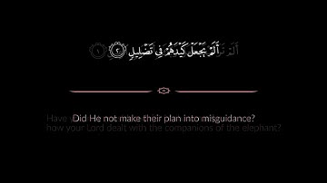 Surat Al Fil (The Elephant) - Tawfeeq As Sayegh | توفيق الصايغ - سورة الفيل