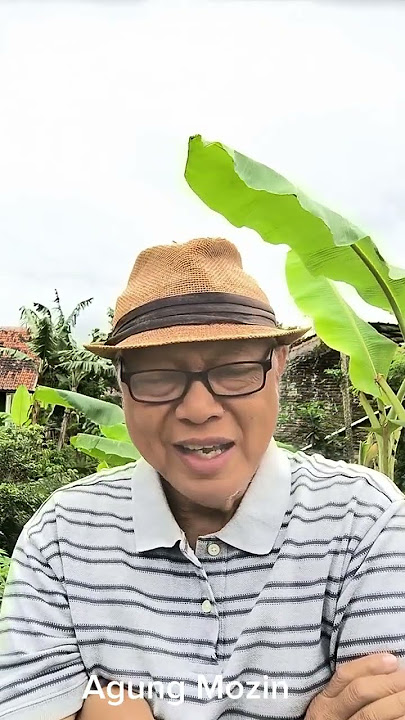 Mana suara Opung Luhut soal PSN PIK 2