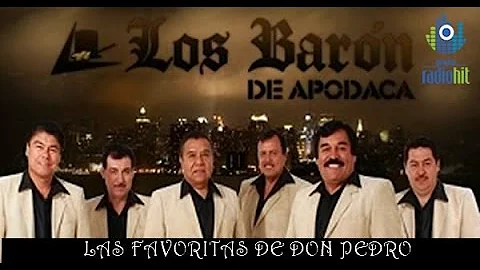 Favoritas de Los Baron de Apodaca (Exitos Inmortal...