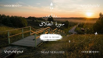 سورة الطلاق | معاذ محمد
