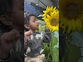 Dil lagana mana tha #dillaganamanatha #shortsfeed #shortvideos #shortsviral #shorts #short #ytshorts