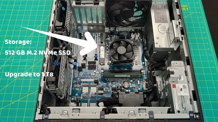 Cat 3.1D   Dell Pro Max Tower T2