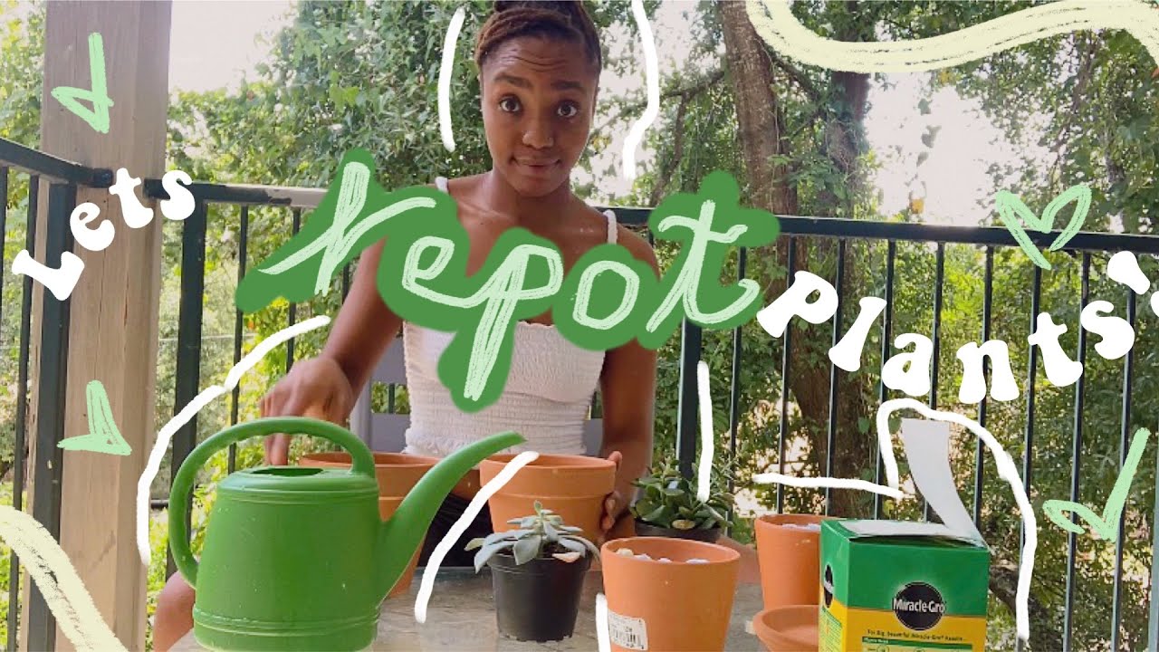 watch me repot my plants! + a trip to home depot YouTube